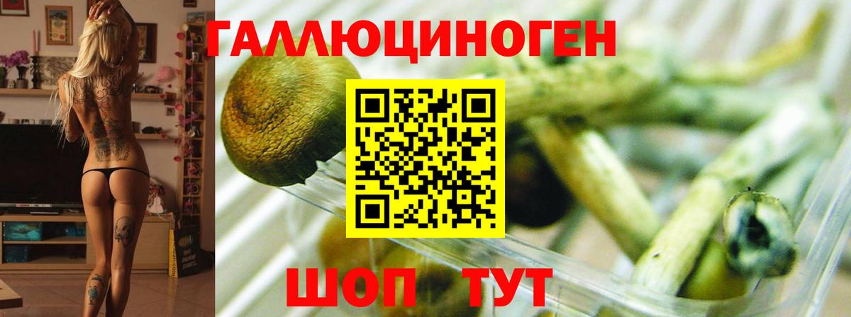 Галлюциногенные грибы мухоморы Тихорецк
