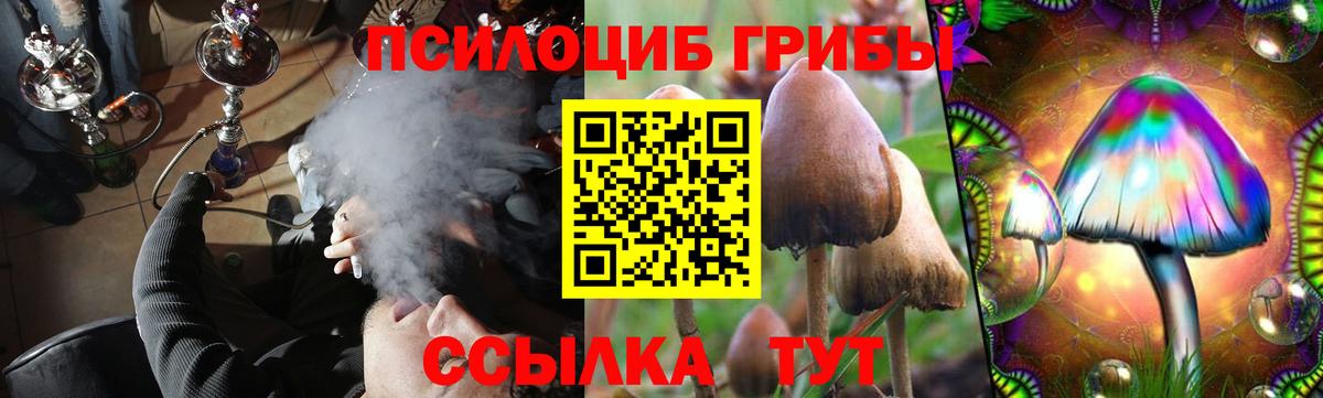 Тихорецк  Псилоцибиновые грибы GOLDEN TEACHER  что такое наркотик  Псилоцибиновые грибы Magic Shrooms  Вход с VPN 